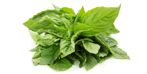 Albahaca (libra)