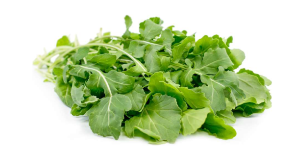 Arugula Baby (libra)