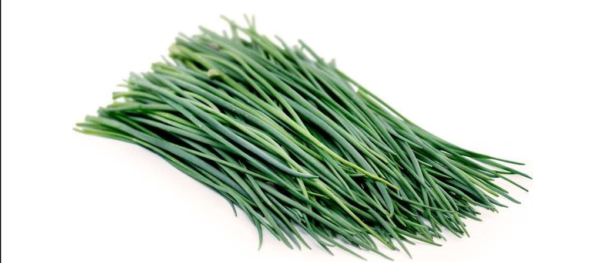 Chives (Libra)