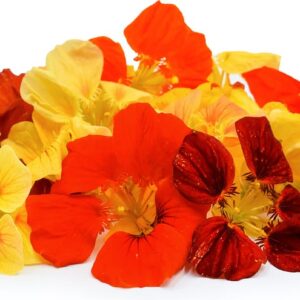Flor Capuchina (Domo 35 pz)