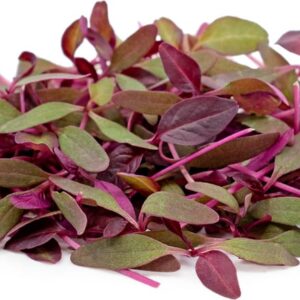 Germinado de Amaranto (Domo de 2 oz)