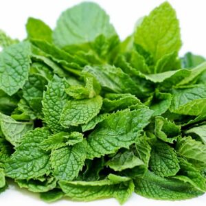 Menta (kilo)