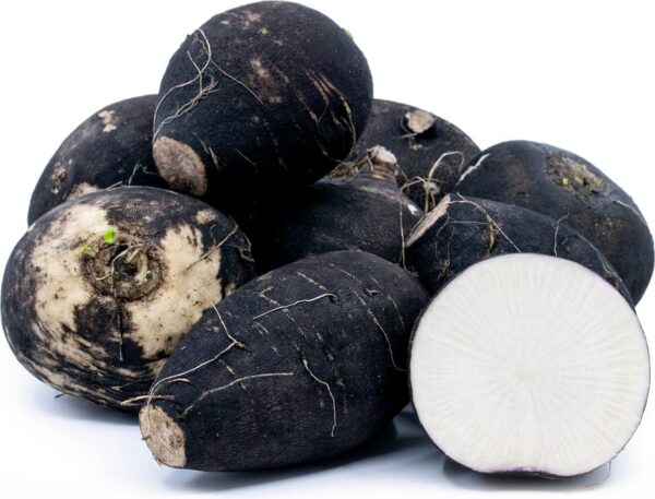 Rábano Negro (kg)
