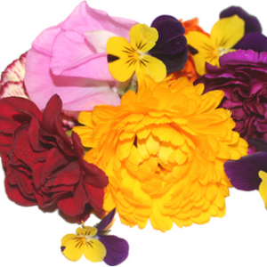 Flor Mixta (Clam 35 piezas)