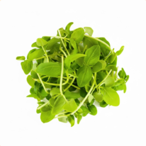 Microgreens: Albahaca Verde (Domo 30 g)