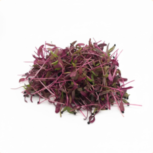 Microgreens: Amaranto Rojo (Domo 30 g)