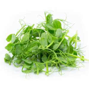 Microgreens: Chicharo (Domo 30 g)