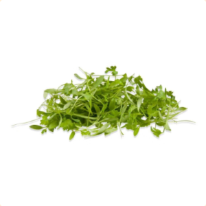 Microgreens: Cilantro (Domo 30 g)