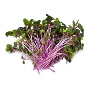 Microgreens: Col Morada (Domo 30 g)