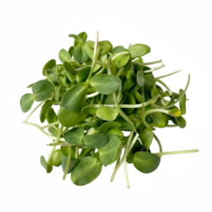 Microgreens: Girasol (Domo 30 g)