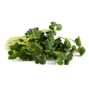 Microgreens: Rábano Verde (Domo 30 g)