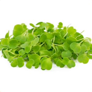 Microgreens: Rúcula (Domo 30 g)