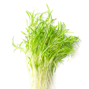 Microgreens: Zanahoria (Domo 30 g)